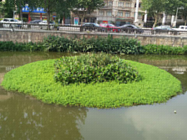 生态浮岛的功能作用
